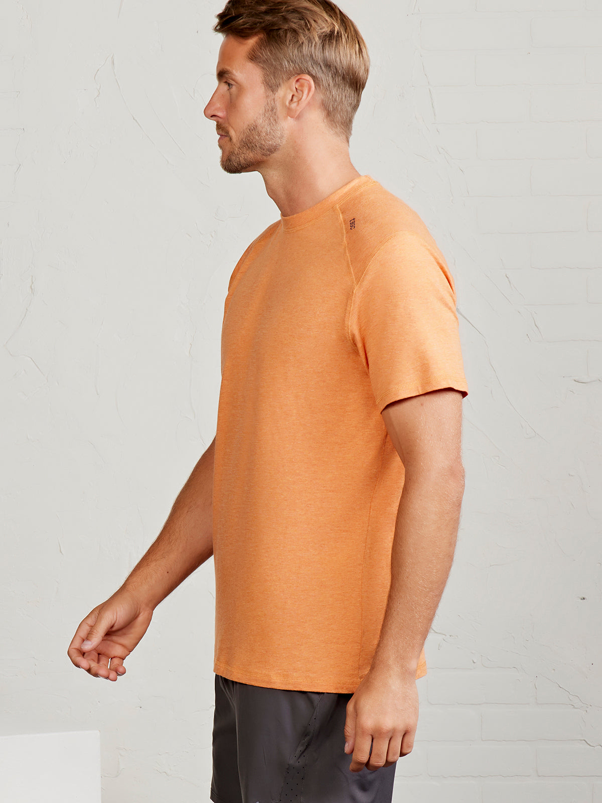 Carrollton Fitness T-Shirt - tasc Performance (TerraHeather)